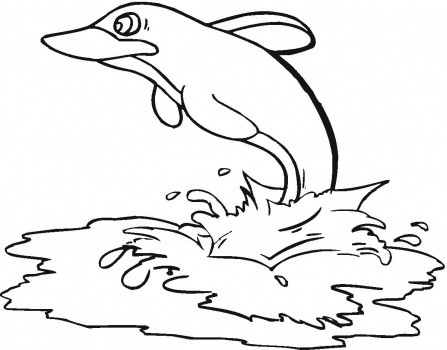 Delfino disegni da colorare categoria mare