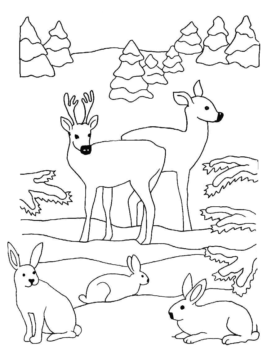 Delle renne e dei conigli nel paesaggio in inverno da colorare per bambini