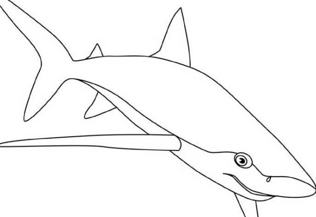 Disegni da colorare di squali nella categoria animali