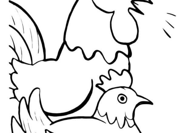 Disegni da colorare galline