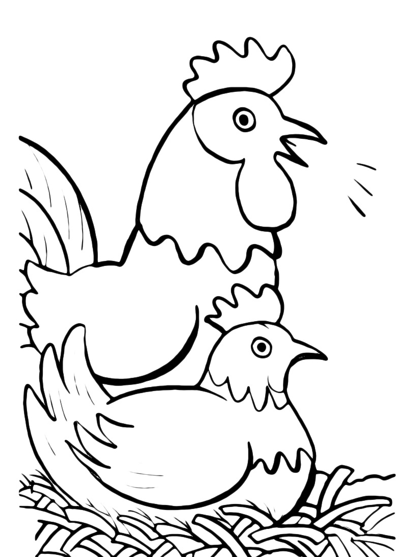 Disegni da colorare galline