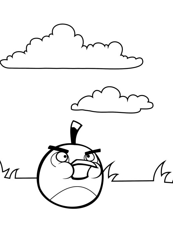 Disegni da colorare gratis Angry Birds (8)