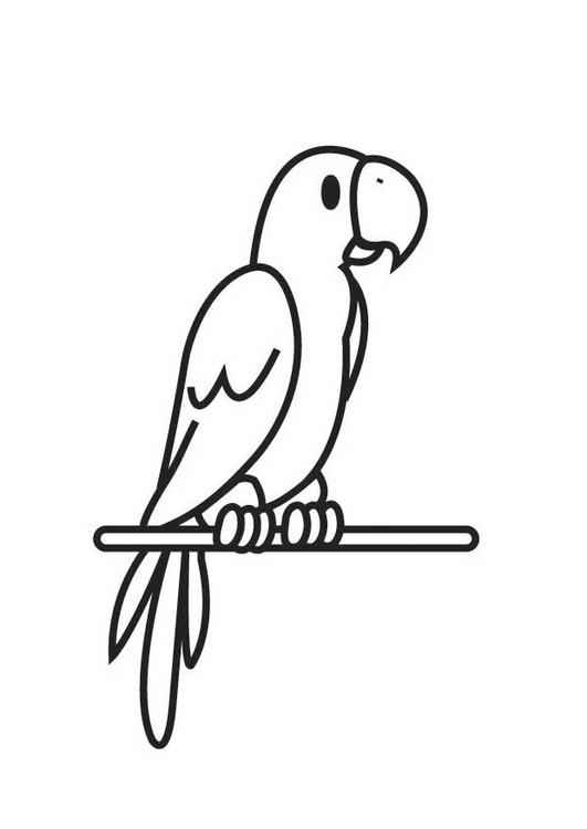 Disegni da colorare semplici di pappagalli