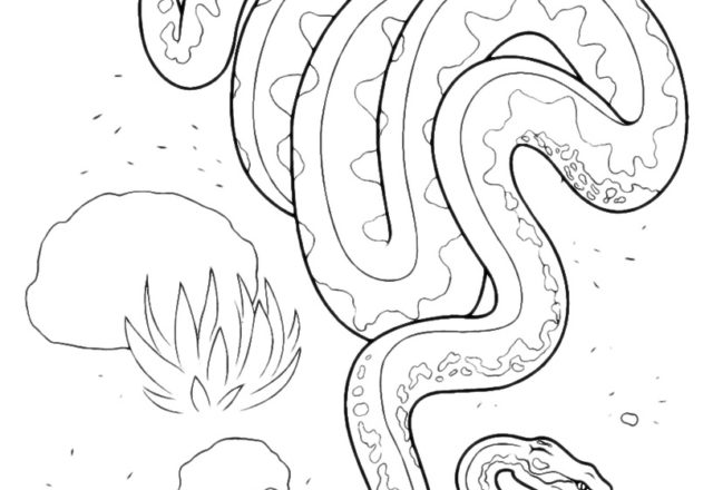Disegni di serpenti da colorare
