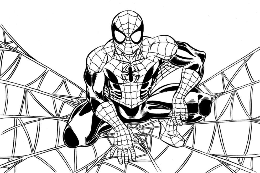 Disegno da colorare Spiderman l’ Uomo Ragno accovacciato sulla ragnatela