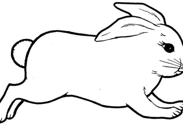 Disegno da colorare coniglio semplice