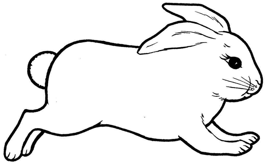 Disegno da colorare coniglio semplice