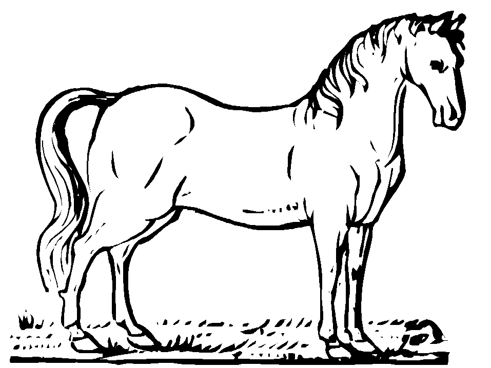 Disegno da colorare gratis cavallo