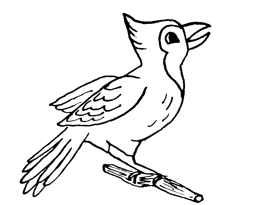 Disegno da colorare per bambini uccellino con cresta