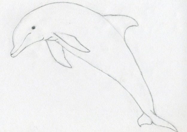 Disegno da colorare per i bambini di un delfino