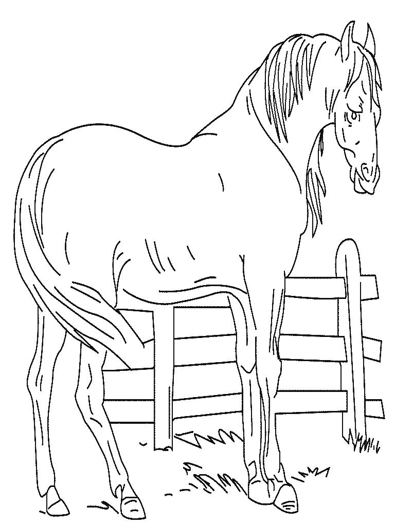 Disegno di un cavallo realistico da colorare gratis