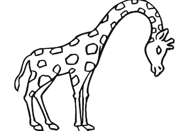 Disegno facile da colorare giraffa
