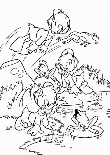 Disney Qui Quo Qua che giocano con le rane nel laghetto da colorare