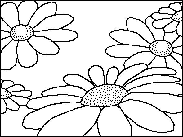 Diverse margherite fiori disegni per bambini
