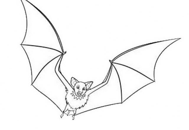 Dracula pipistrello disegni da colorare gratis
