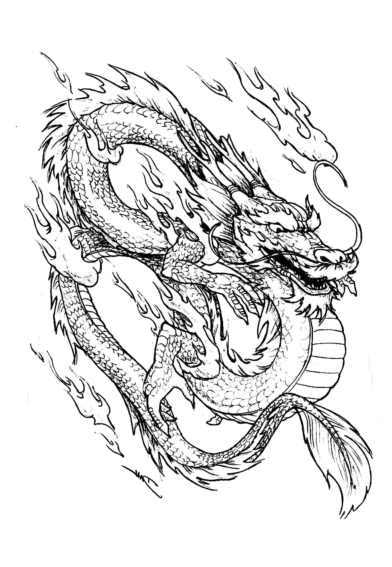 Dragone cinese disegni da colorare gratuitamente