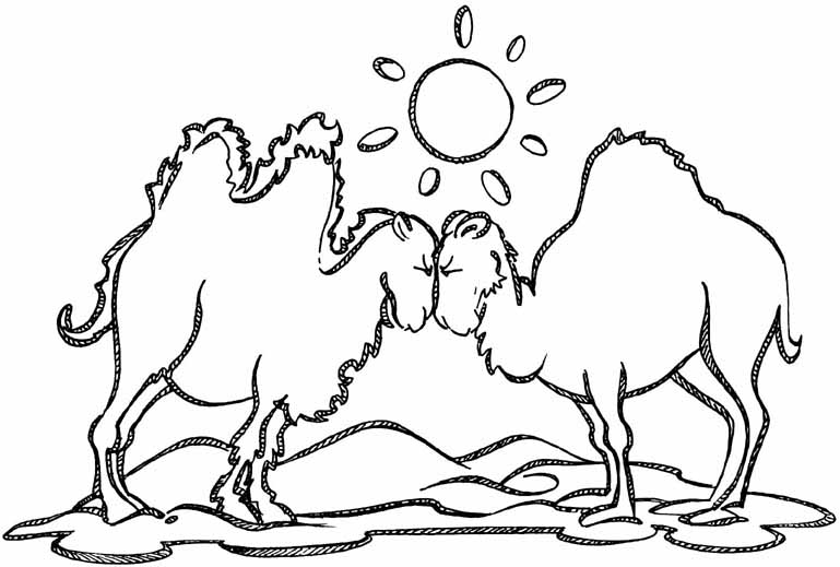 Due cammelli nel deserto immagine da colorare per bambini