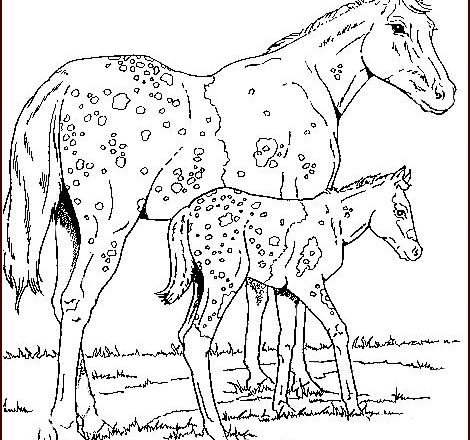Due cavalli liberi disegno per i bambini