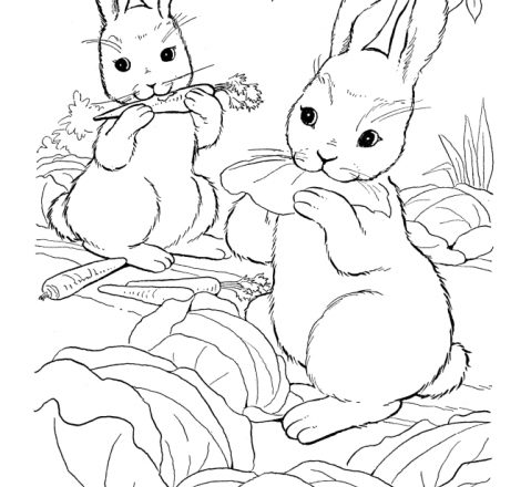 Due coniglietti che mangiano le carote disegni da colorare categoria animali