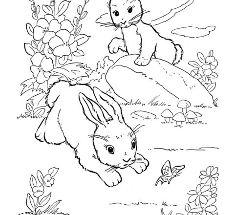 Due coniglietti liberi nel prato disegno da colorare gratis