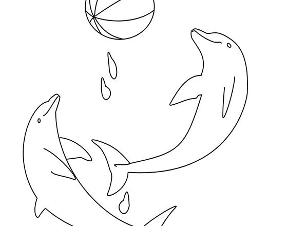 Due delfini che giocano a palla felici disegno da colorare