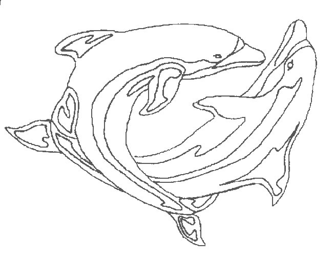 Due delfini che si divertono disegni da colorare
