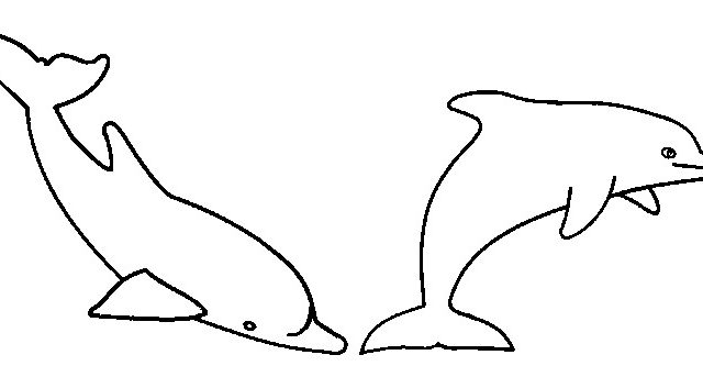 Due delfini che si inseguono disegno da colorare