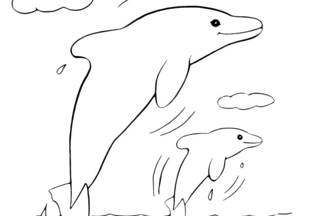 Due delfini felici nel mare disegno da colorare