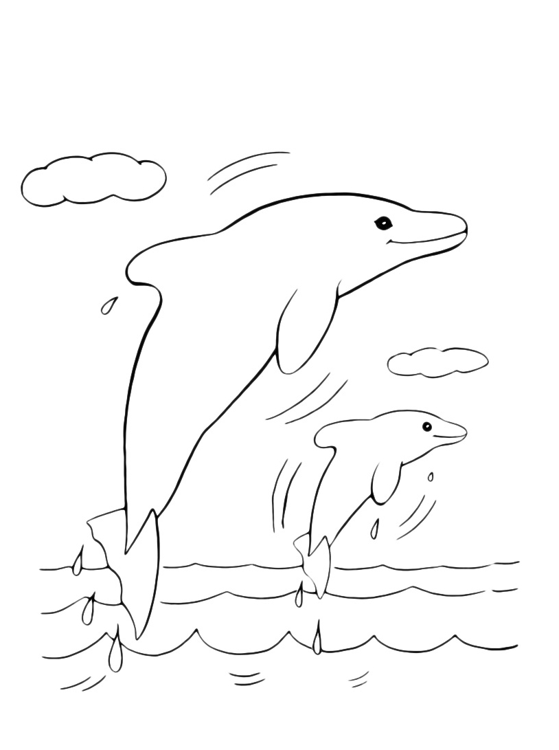 Due delfini felici nel mare disegno da colorare