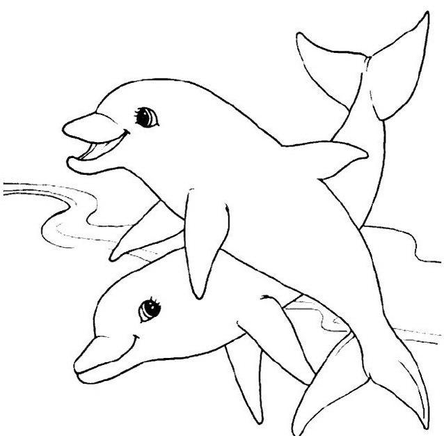 Due dolci delfini disegni da colorare gratis