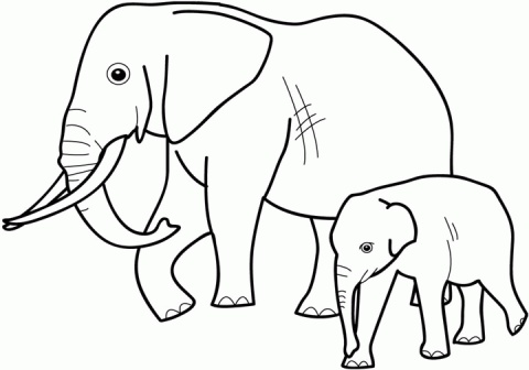 Due elefanti da stampare per i bambini