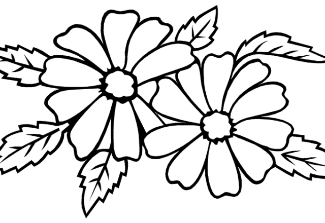 Due fiori realistici disegni da colorare