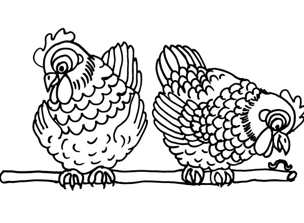 Due galline nel pollaio disegni da colorare gratis