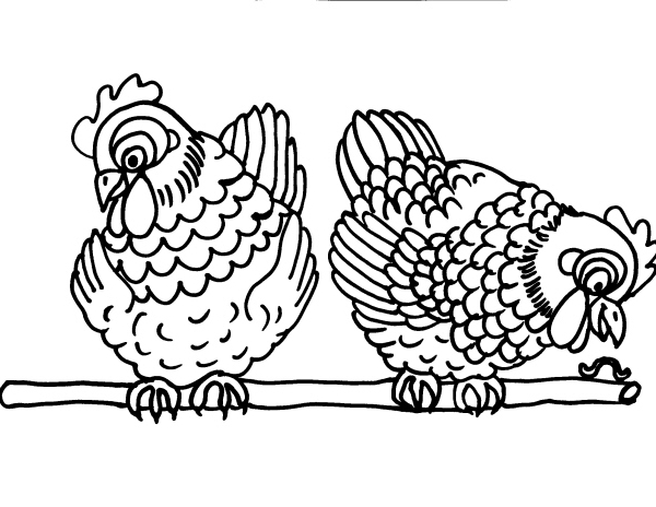 Due galline nel pollaio disegni da colorare gratis
