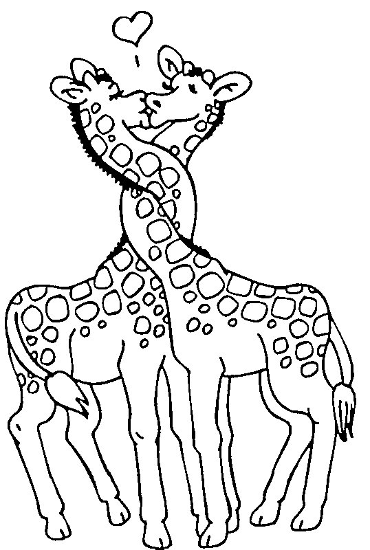 Due giraffe che si baciano disegno da colorare gratis