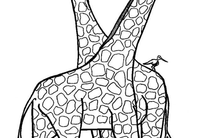 Due grandi giraffe disegni da colorare nella categoria animali