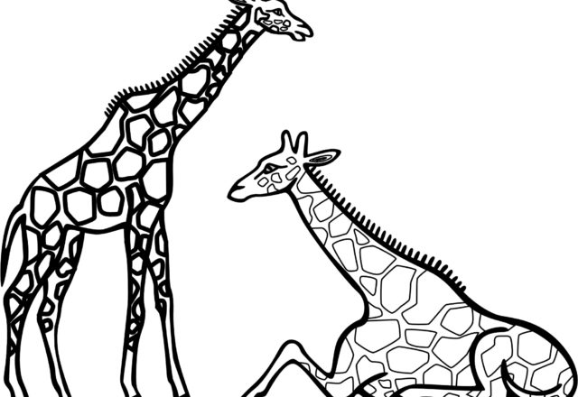 Due grandi giraffe disegni da stampare e da colorare