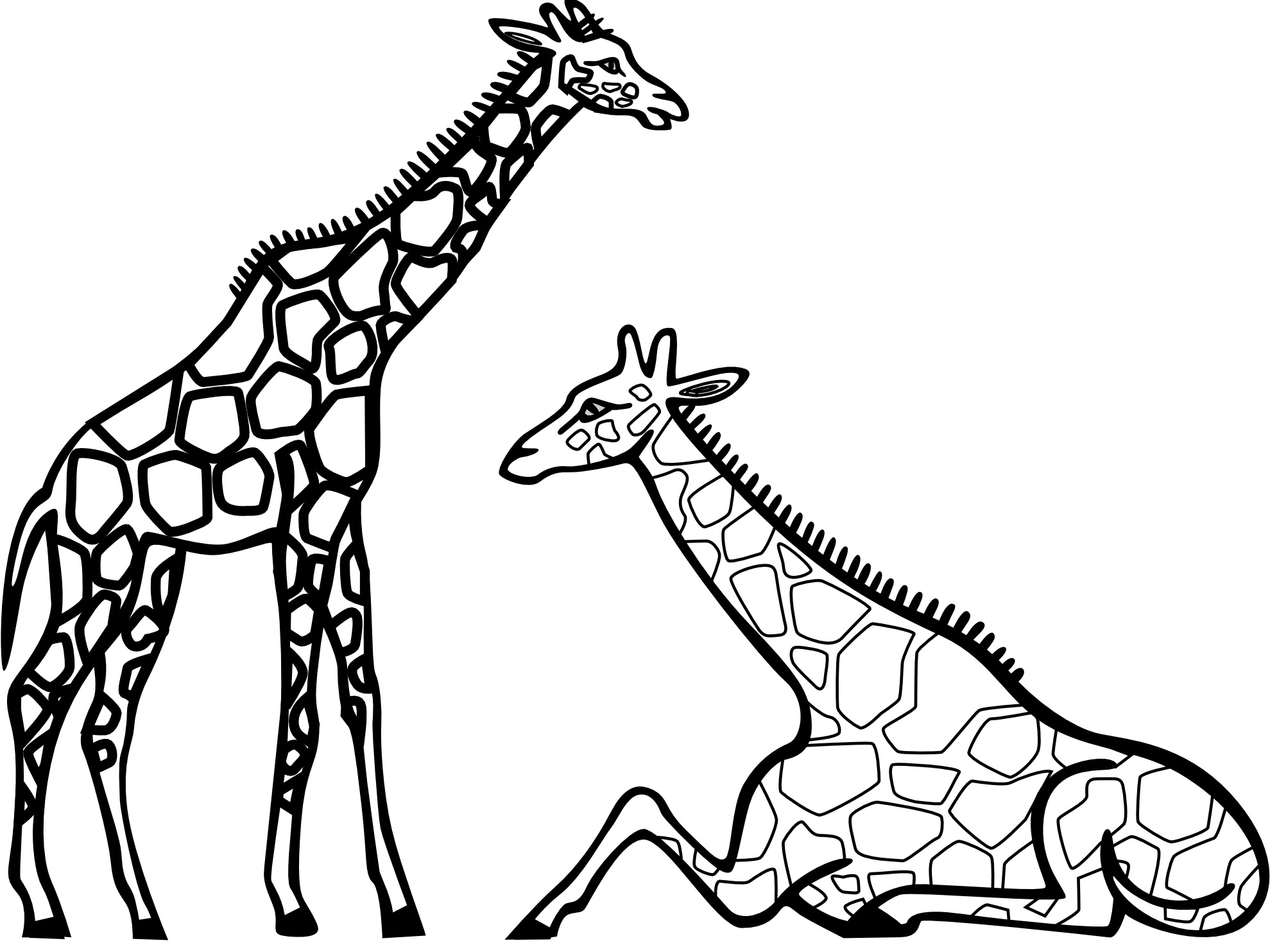 Due grandi giraffe disegni da stampare e da colorare