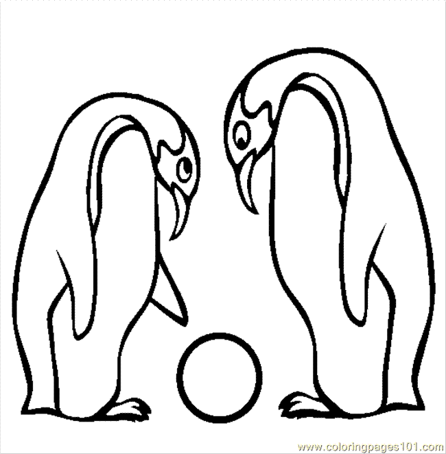 Due pinguini che giocano disegni da colorare