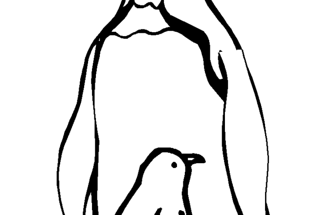 Due pinguini mamma e figlio da colorare