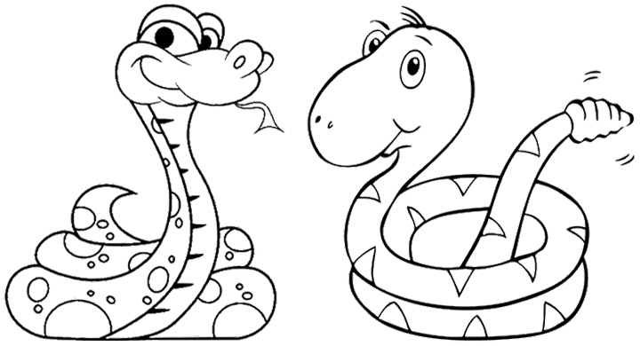 Due serpenti da stampare e da colorare gratis