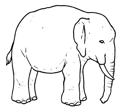 Elefante adulto da colorare per i bambini e le bambine