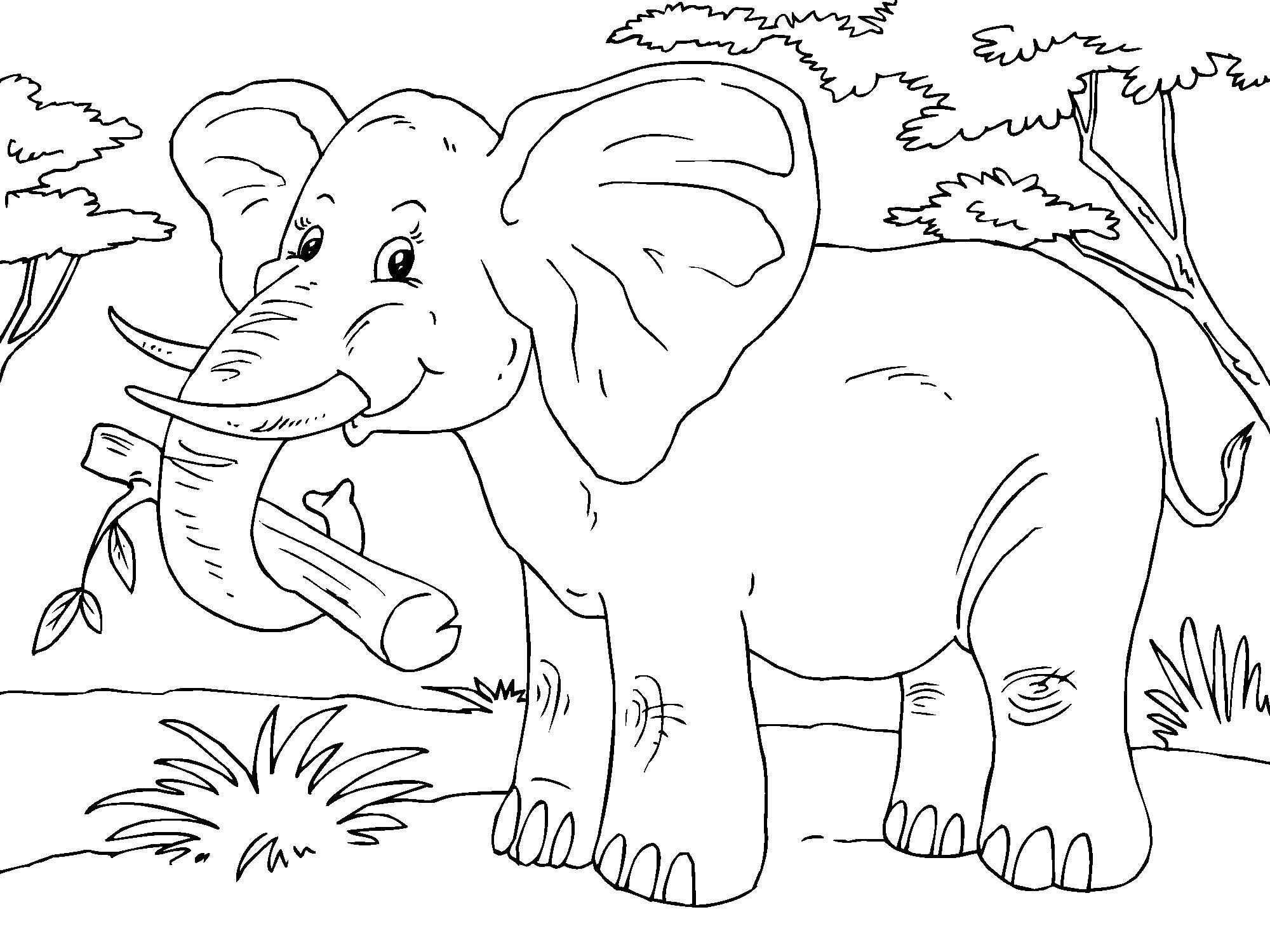Elefante che raccoglie la legna disegno da colorare gratis