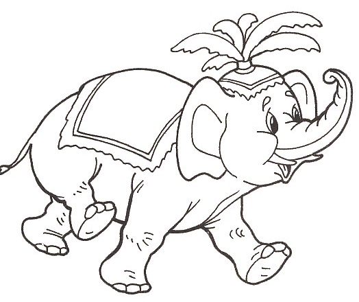 Elefante del circo disegno da stampare e da colorare gratis