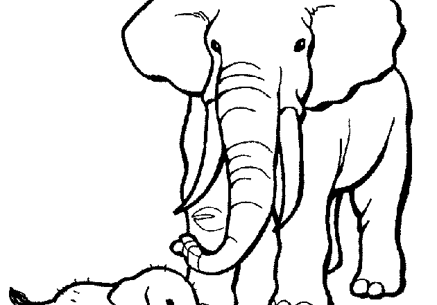 Elefante mamma e elefante piccolo disegno da colorare
