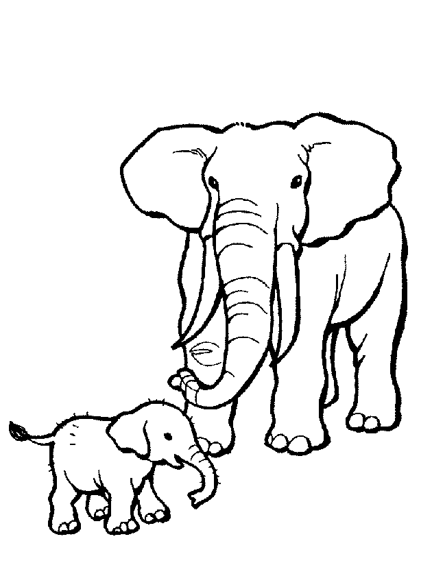 Elefante mamma e elefante piccolo disegno da colorare