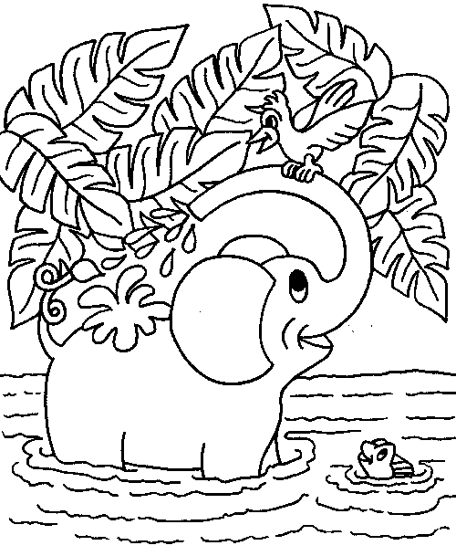 Elefante nel fiume disegno da colorare per bambini