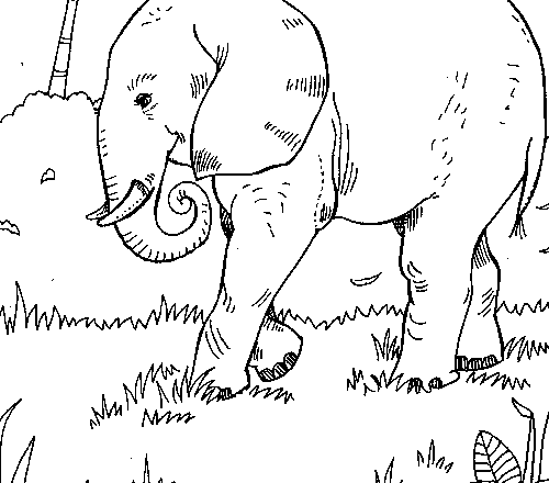 Elefante nel suo habitat disegno da colorare gratis