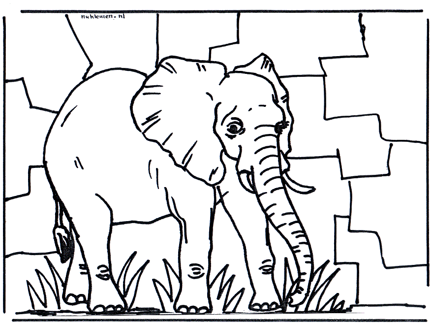 Elefante sull’ erba disegno da colorare