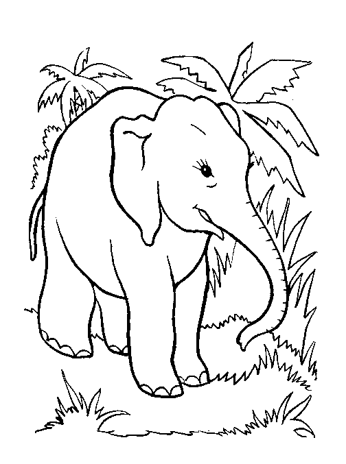 Elefantessa nel suo habitat disegno da colorare gratis